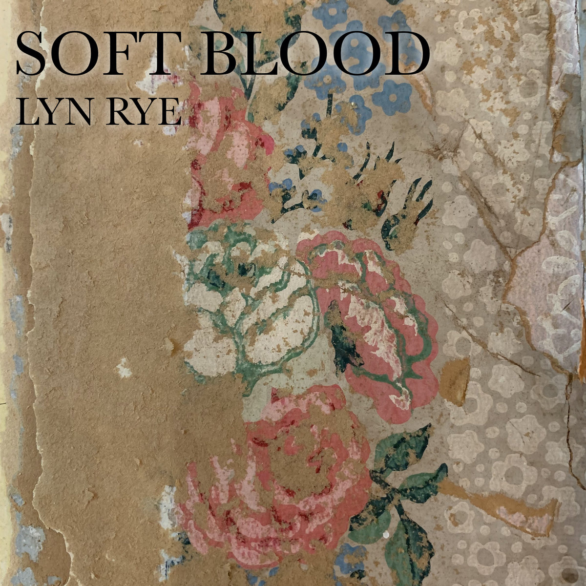 Album Review: Lyn Rye’s ‘Soft Blood’